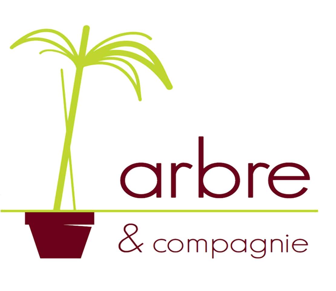 logo arbre et cie trsparent