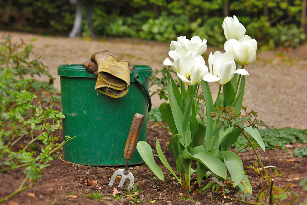 Bien Préparer Son Jardin Pour Le Printemps Eric Jacob