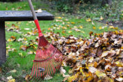 rateau pour ramasser les feuilles