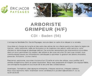 Offre emploi Arboriste Grimpeur